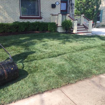 Sod Installation serving london, sarnia, grand bend, st thomas, strathroy and everywhere in between